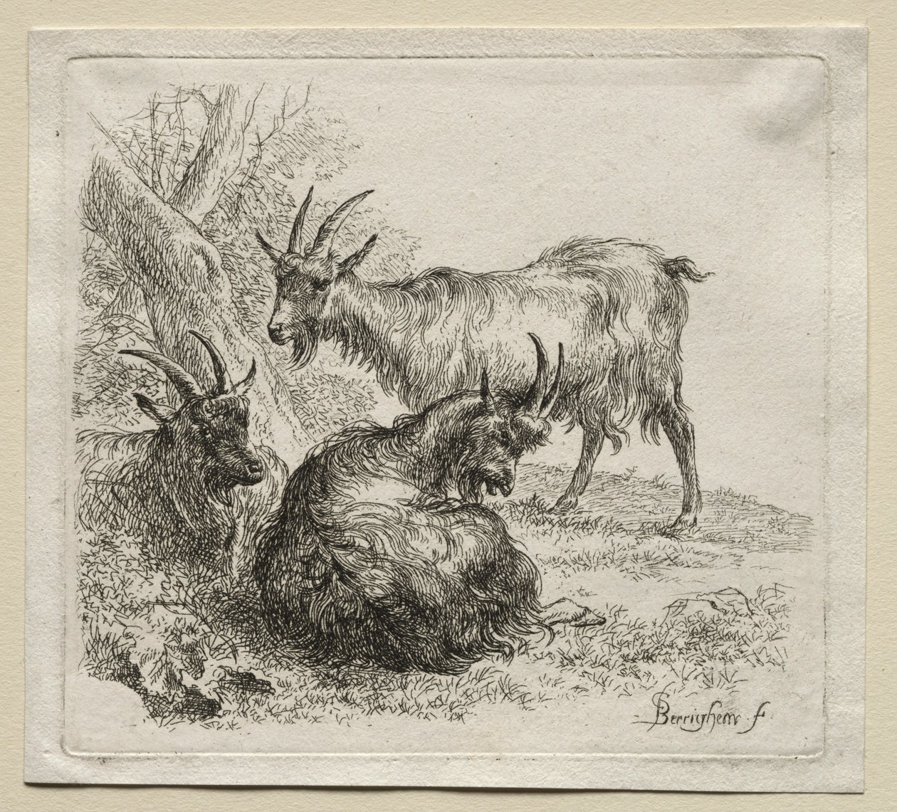 Tre geiter. av Nicolaes Pietersz. Berchem