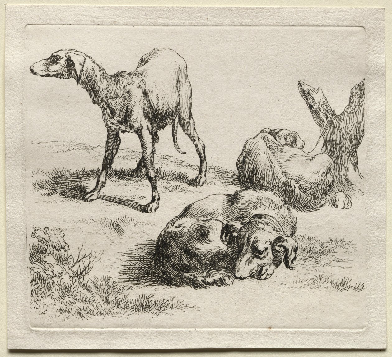 Tre jakthunder. av Nicolaes Pietersz. Berchem
