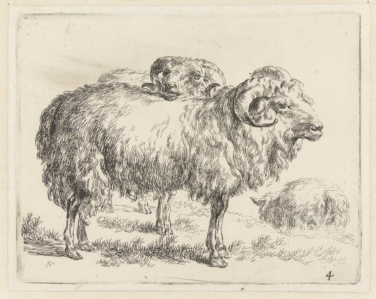 Twee rammen en een schaap Schapen (serietittel) Dyr trukket til livet og trykt i vann av sterk luft av Studio and Art of Nicolai Berchem (serietittel) av Nicolaes Pietersz Berchem