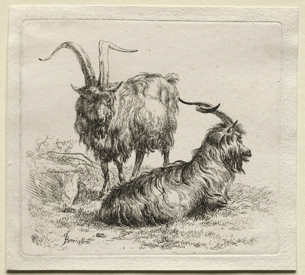 To geiter. av Nicolaes Pietersz. Berchem