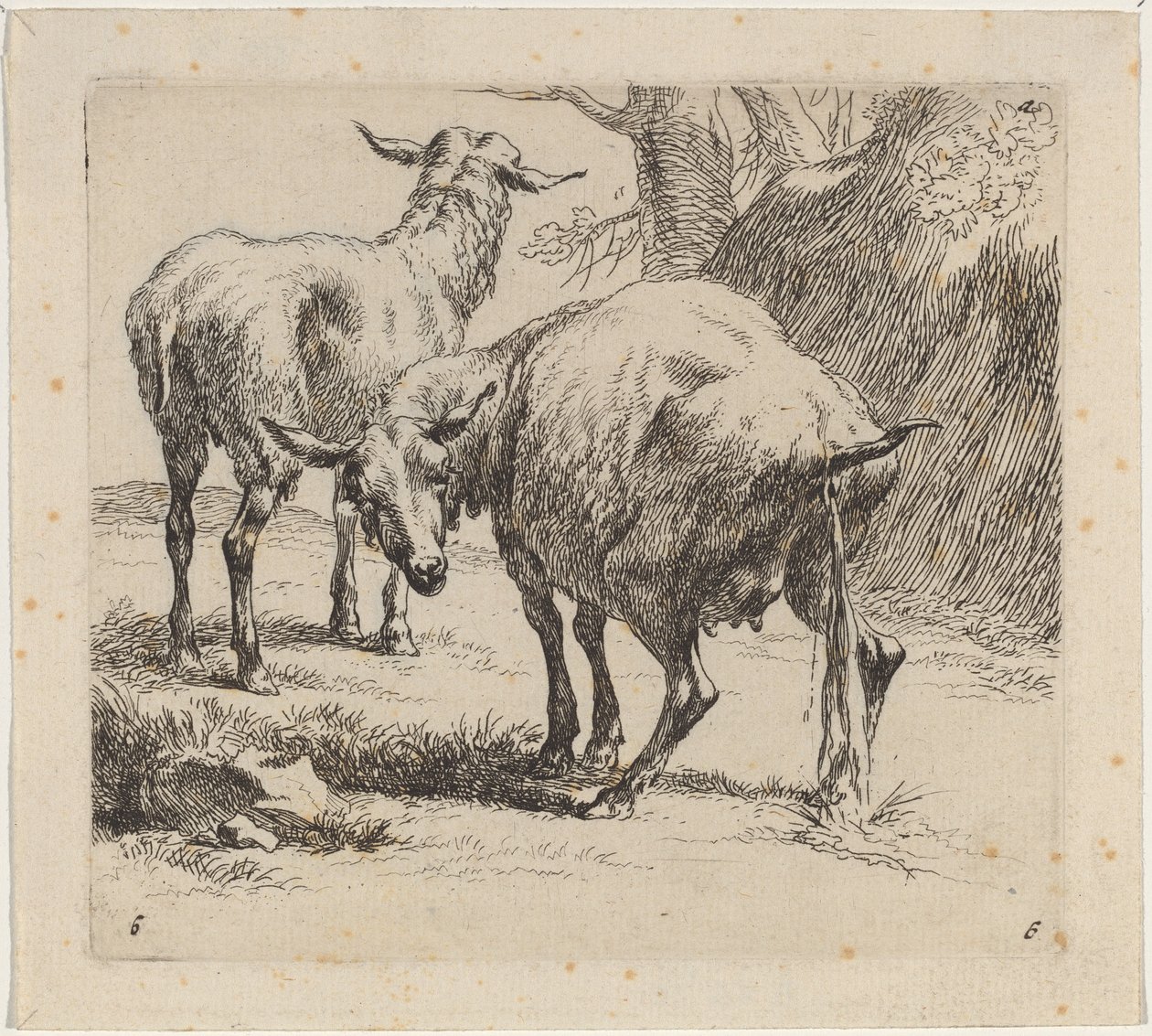 To sauer, en pissing av Nicolaes Pietersz Berchem