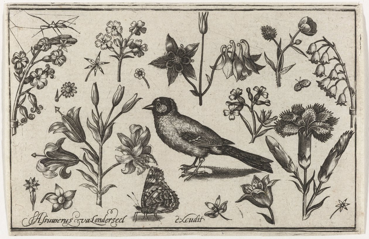 Blomster, sommerfugl og en fugl Fugler, blomster, insekter etc. (serietittel) av Nicolaes de Bruyn (possibly)