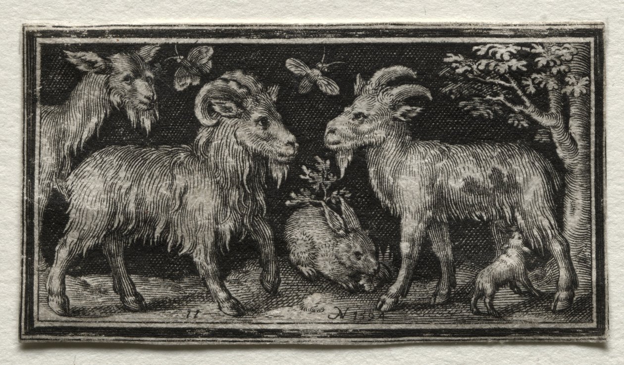 Geiter og hare av Nicolaes de Bruyn