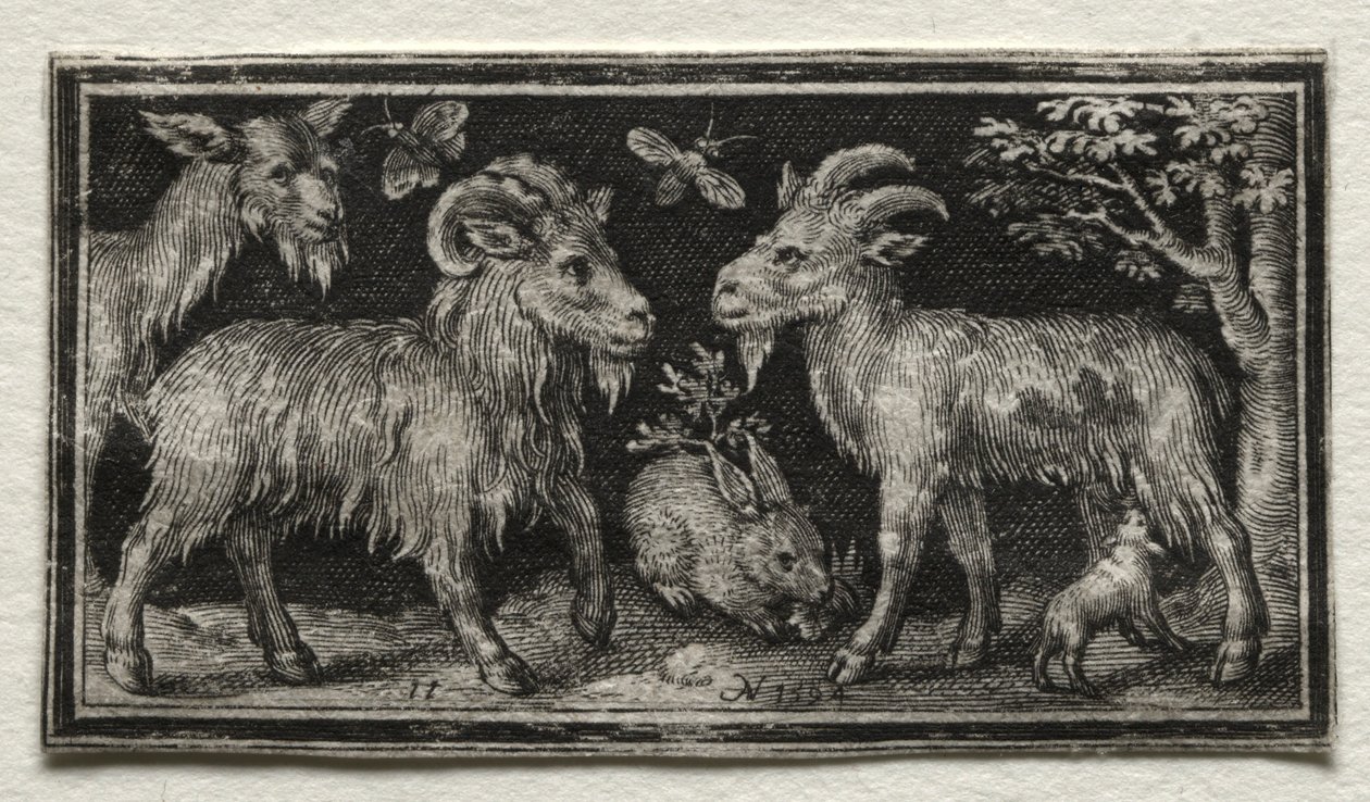 Geiter og hare, 1594. av Nicolaes de Bruyn