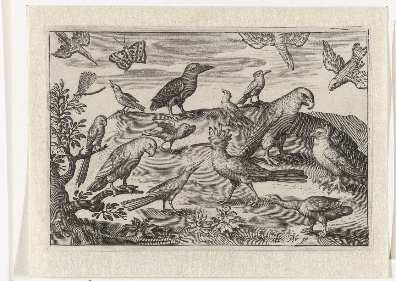 Humle og andre fugler Fugler og insekter (serietittel) av Nicolaes de Bruyn