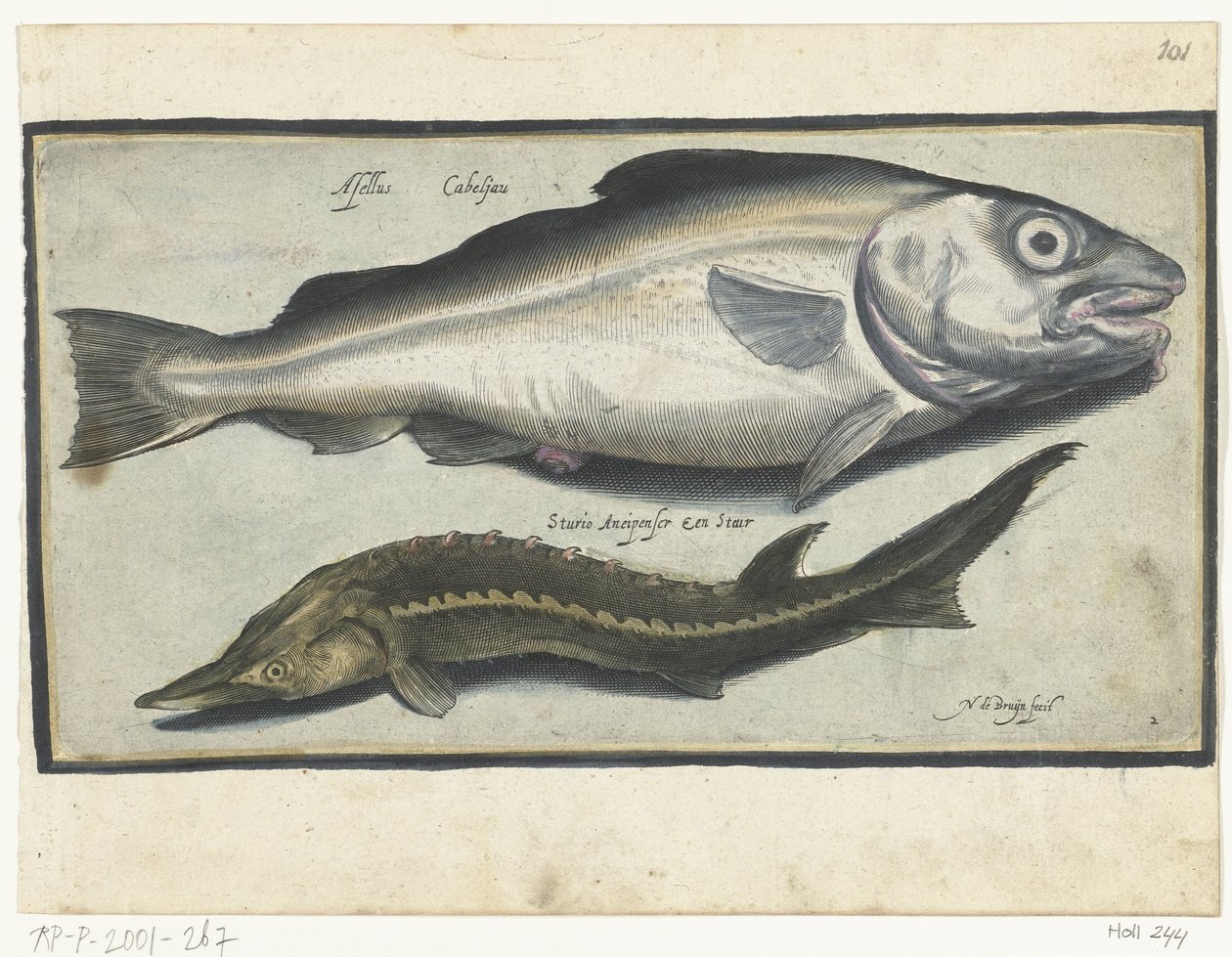 Kabeljauw en steur Libelivs varia Genera piscium complectens (series title) Zoetwatervissen, zeevissen, kikkers, schaaldieren en zeewezens (series title)   1361999   no       norwegian Successfully Translated  Original: The Angel of Death, plate 53 from A  av Nicolaes de Bruyn