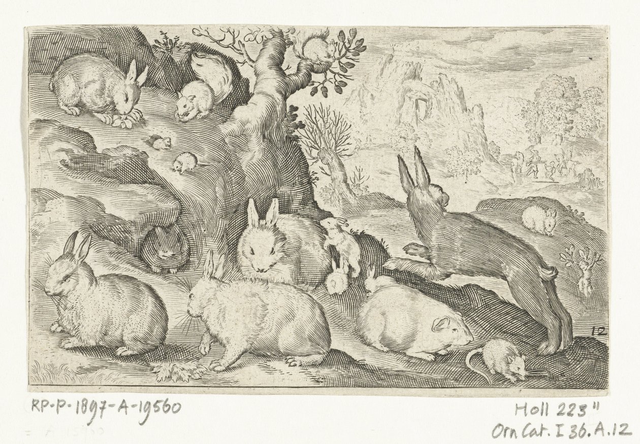 Kaniner, ekorn, marsvin og mus Animalivm qvadrvpedvm (serietittel) Dyr i landskap (serietittel) av Nicolaes de Bruyn
