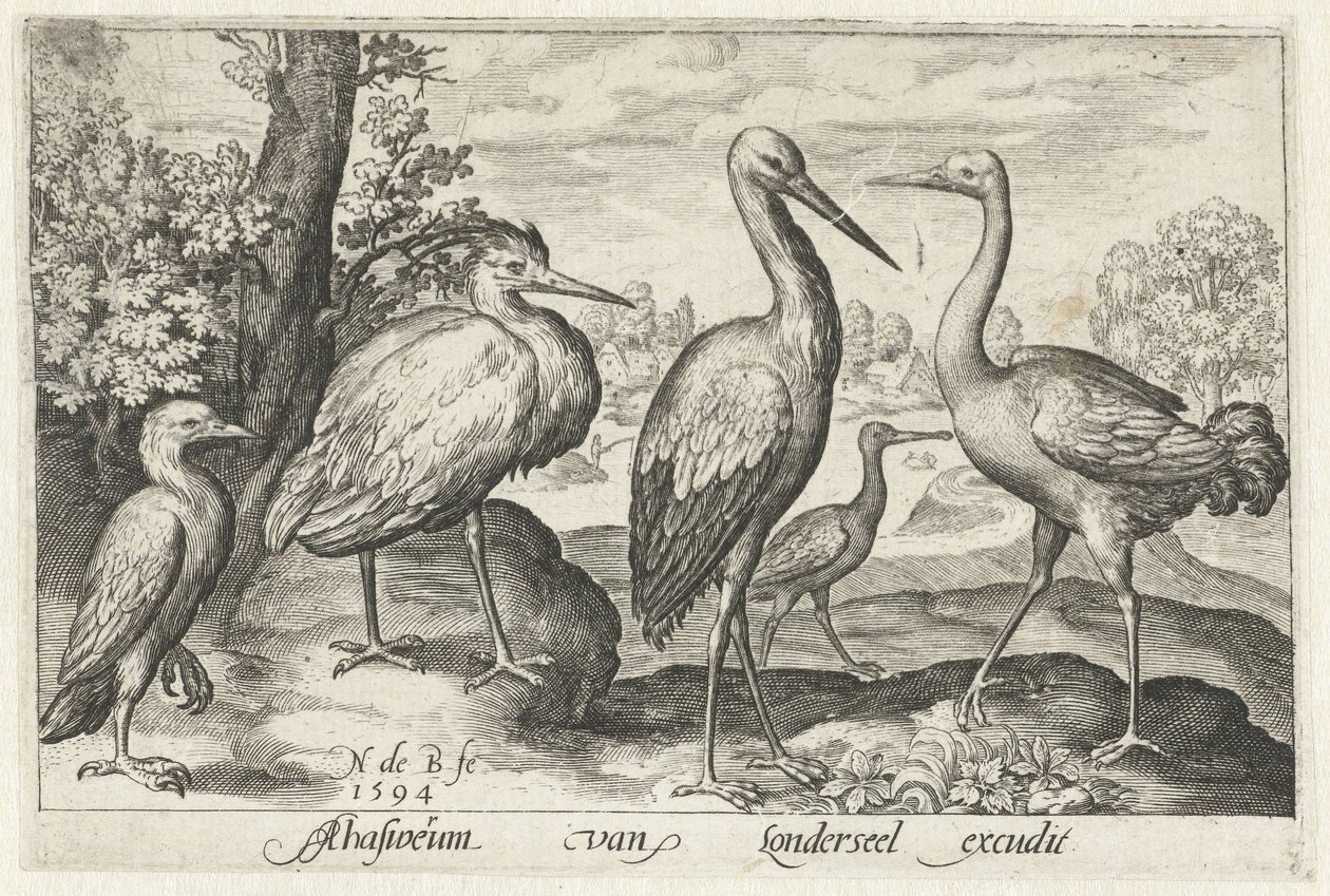 Stork, trane, hegre og skjestork Fugler og insekter (serietittel) av Nicolaes de Bruyn