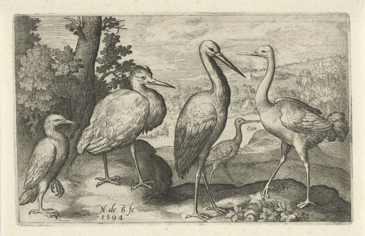 Stork, trane, hegre og skjestork Fugler og insekter (serietittel) av Nicolaes de Bruyn