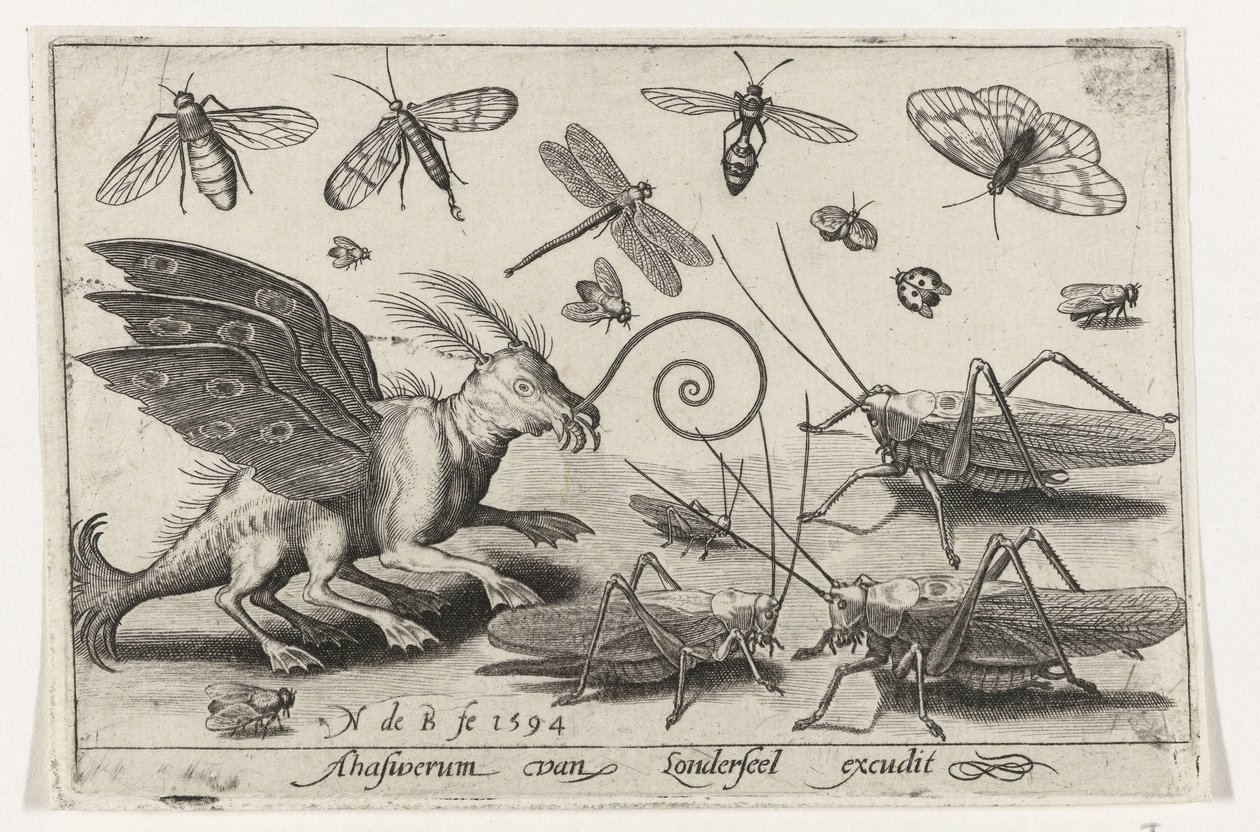 Gresshopper og fantasiskapninger med vinger og svømmehud Fugler og insekter (serietittel) av Nicolaes de Bruyn