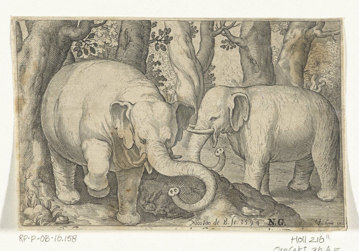 To elefanter Animalivm qvadrvpedvm (serietittel) Dyr i landskap (serietittel) av Nicolaes de Bruyn