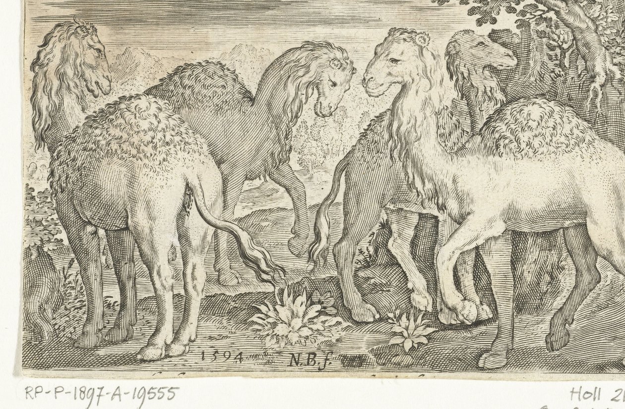 Fire dromedarer Animalivm qvadrvpedvm (serietittel) Dyr i landskap (serietittel) av Nicolaes de Bruyn