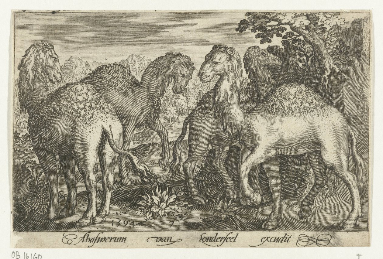 Fire dromedarer Animalivm qvadrvpedvm (serietittel) Dyr i landskap (serietittel) av Nicolaes de Bruyn