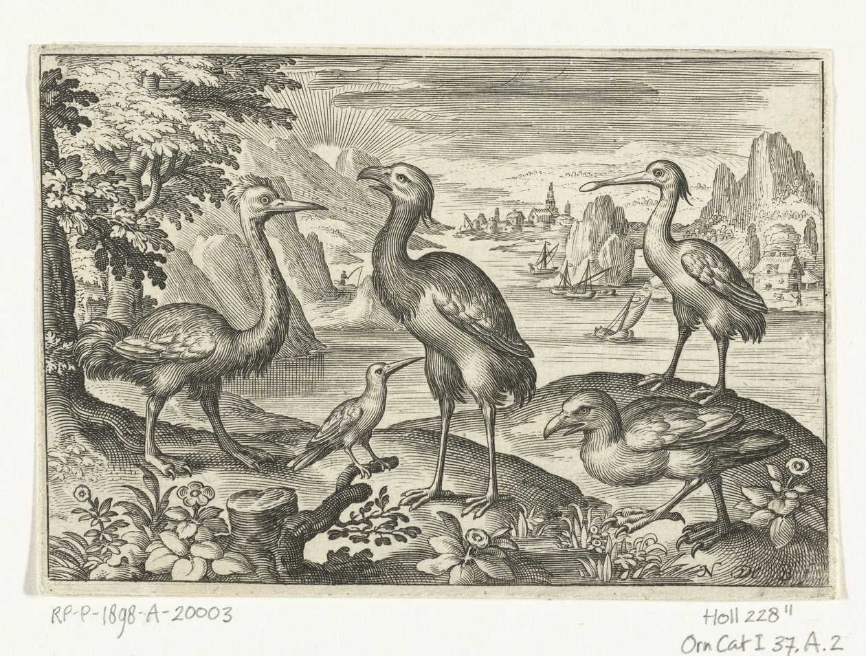 Fem fugler inkludert skjestork Fugler og insekter (serietittel) av Nicolaes de Bruyn