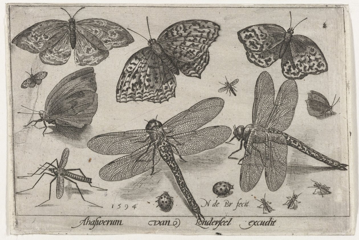 Sommerfugler og øyenstikkere Fugler og insekter (serietittel) av Nicolaes de Bruyn