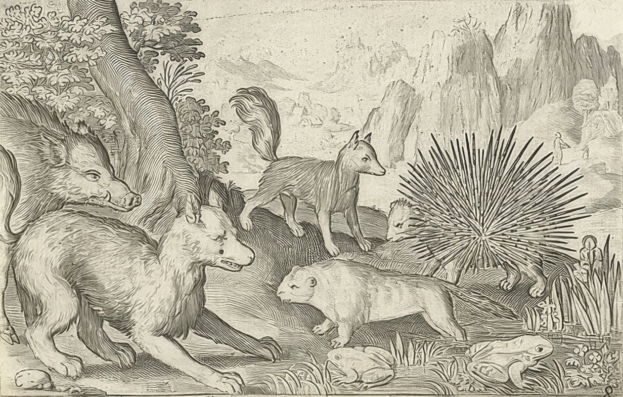 Villsvin, rev, bever, piggsvin og frosker. 1621 av Nicolaes de Bruyn