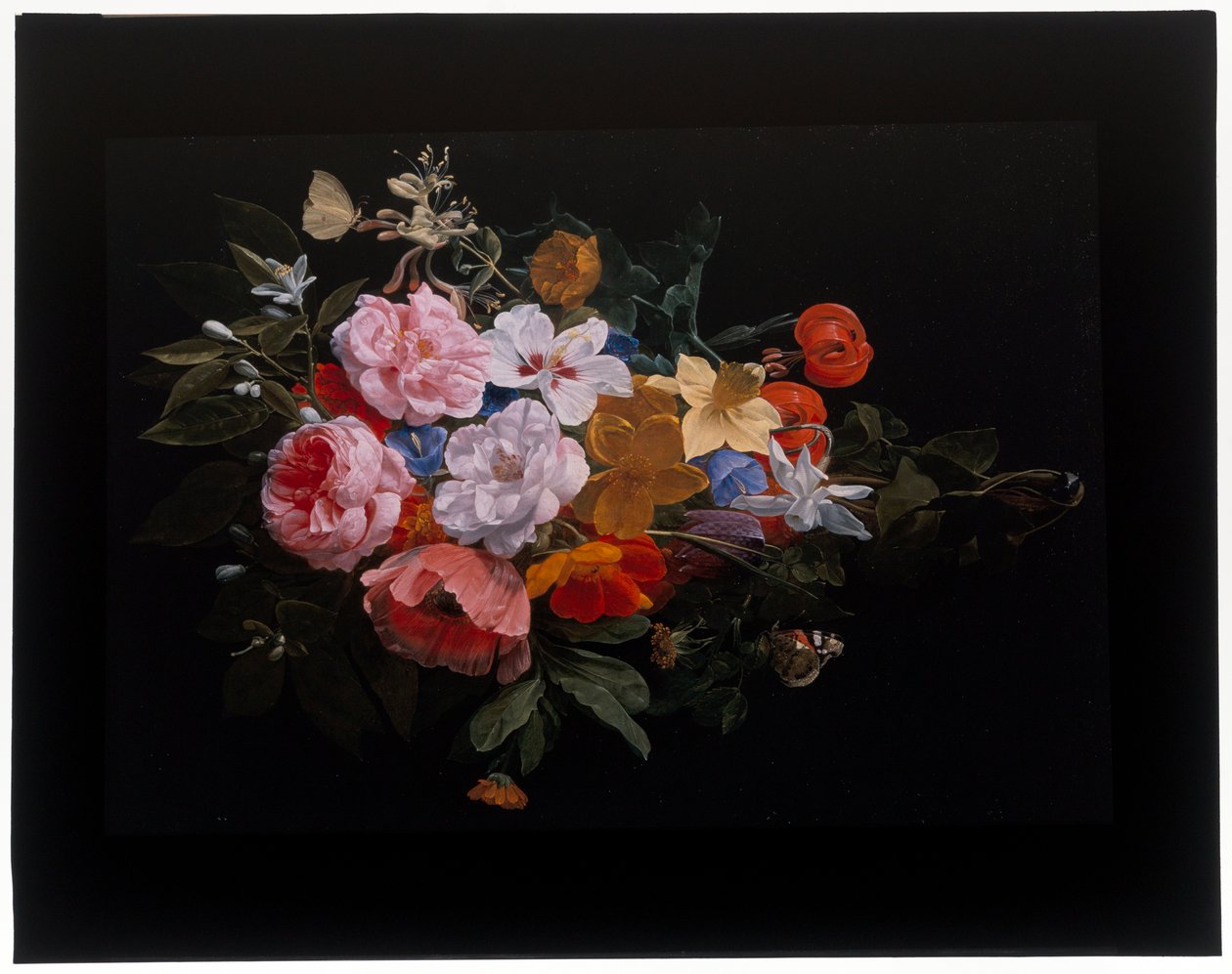 En festong av roser, kaprifol, liljer, narcissi, ringblomst, en slangehodefritillary av Nicolaes van Veerendael