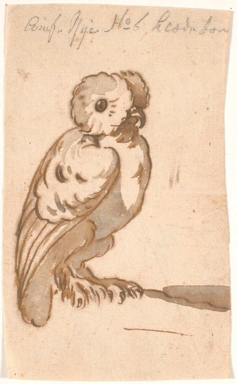En ugle av Nicolai Abildgaard
