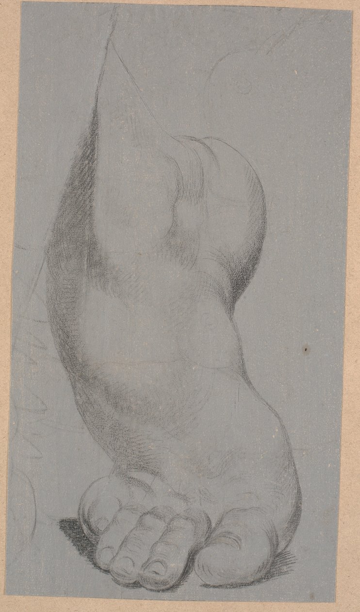 Studie av en fot av Nicolai Abildgaard