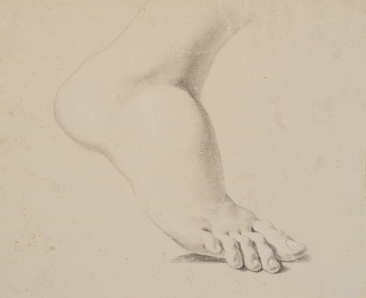 Studie av en fot av Nicolai Abildgaard
