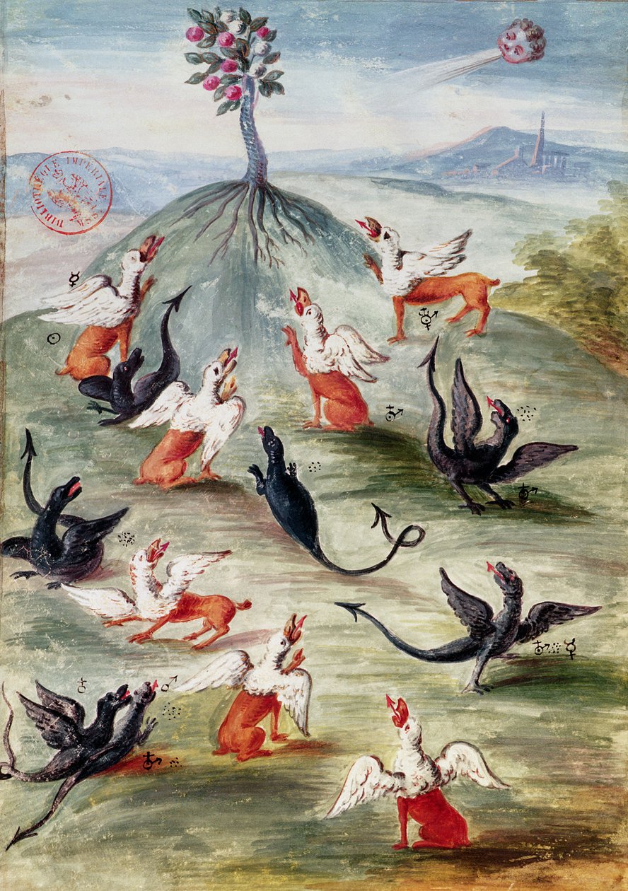 Fr. 14765 f.20-21 