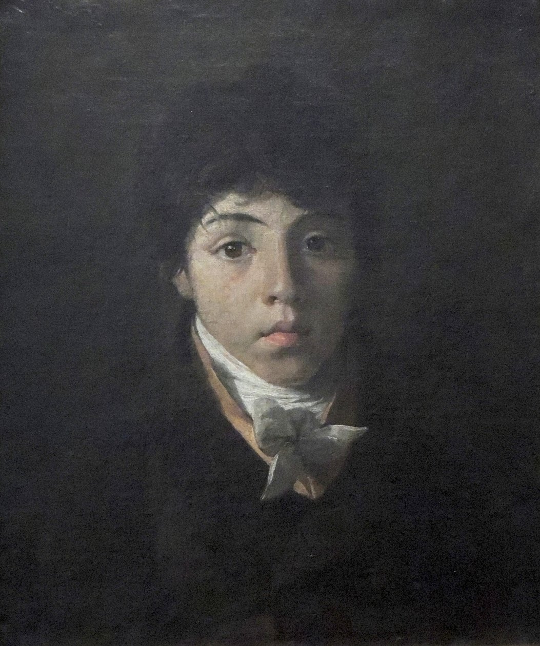 Portrett av den unge Teodoro Taunay av Nicolas Antoine Taunay