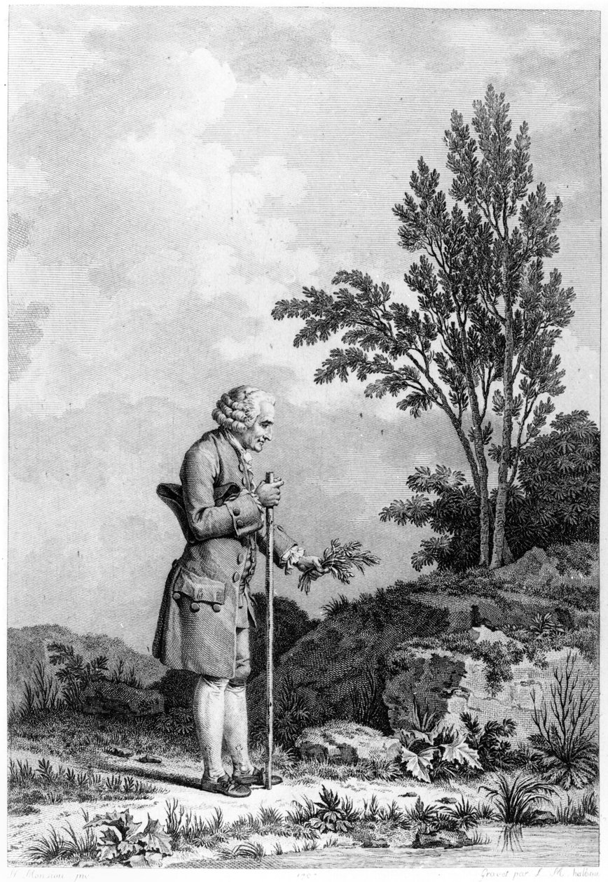 Jean-Jacques Rousseau (1712-78) Samler urter i Ermenonville, juni 1778, gravert av Louis Michel Halbou (f.1730) av Nicolas Andre Monsiau