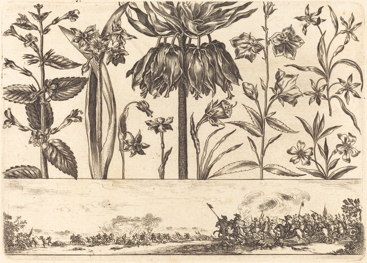 Blomstertrykk nr.10 av Nicolas Cochin after Balthasar Moncornet
