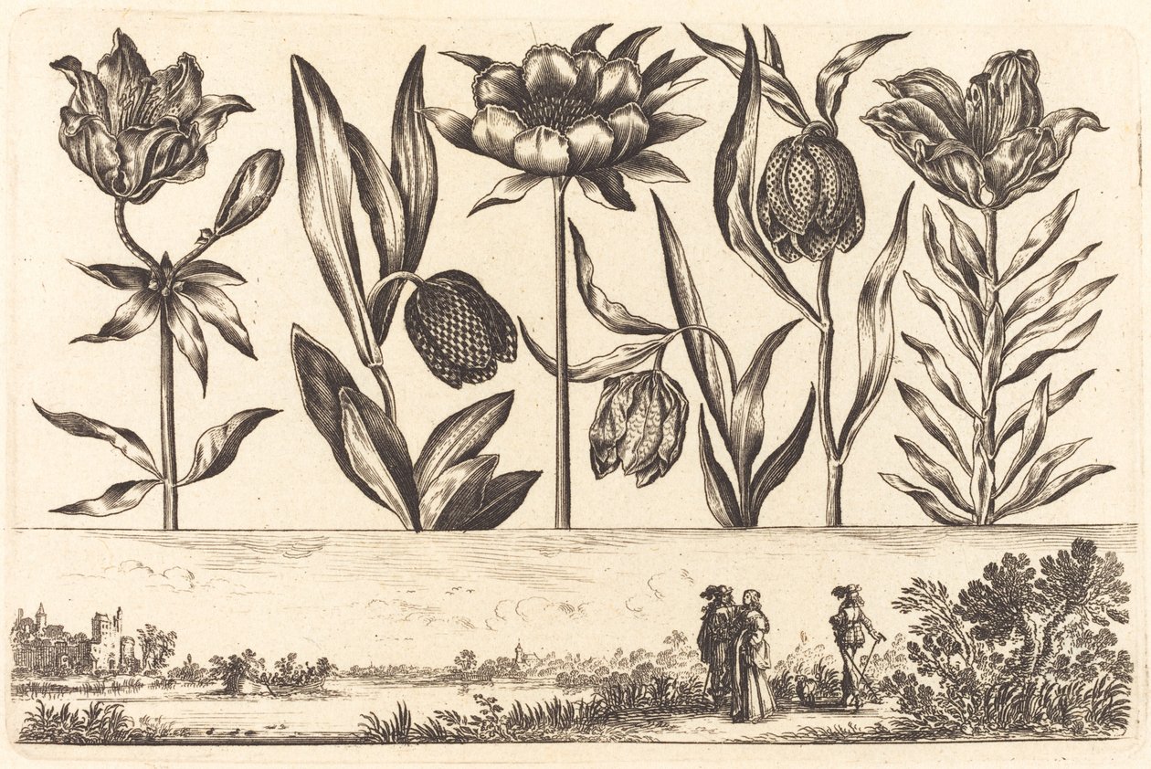 Blomstertrykk nr.11 av Nicolas Cochin after Balthasar Moncornet