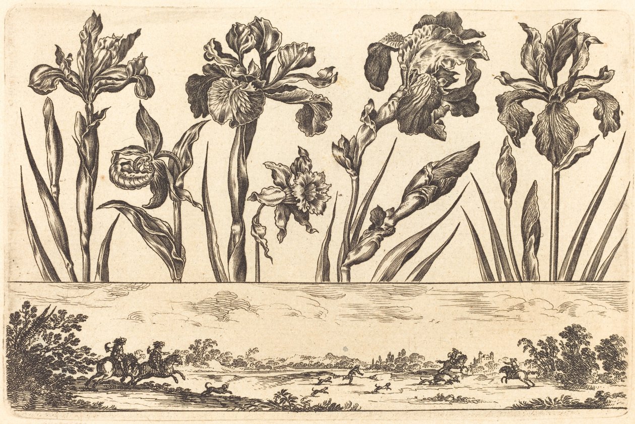 Blomstertrykk nr.3 av Nicolas Cochin after Balthasar Moncornet