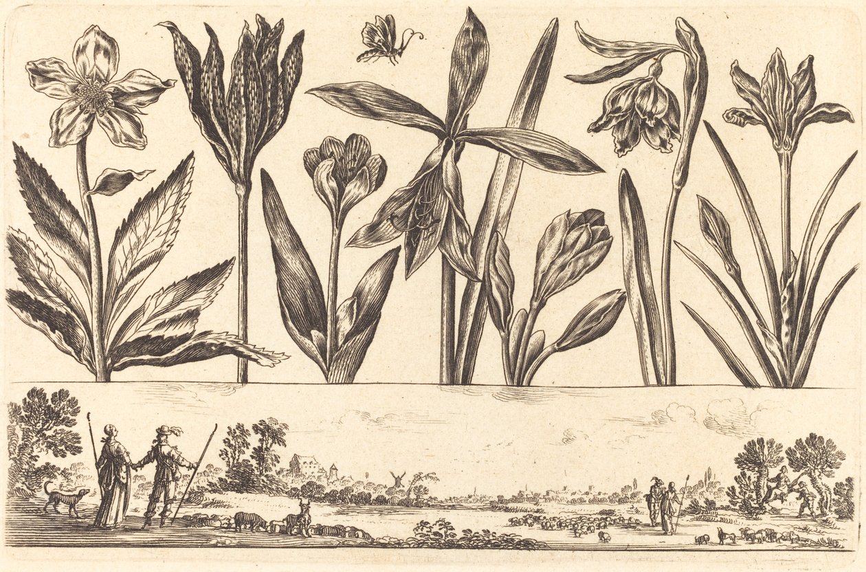 Blomstertrykk nr.4 av Nicolas Cochin after Balthasar Moncornet