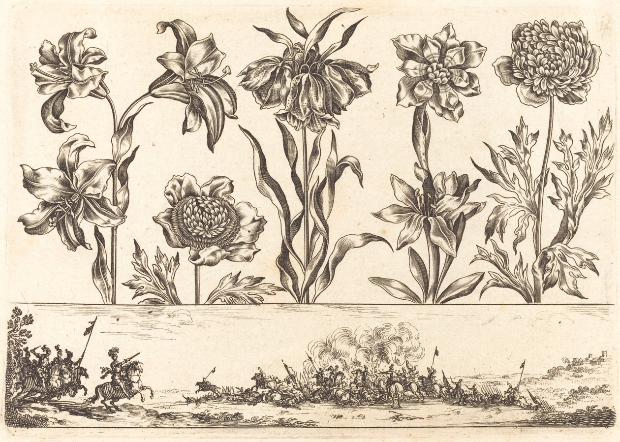 Blomstertrykk nr.8 av Nicolas Cochin after Balthasar Moncornet