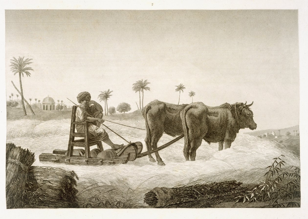 Harvesting Corn, fra bind II Arts and Trades av 