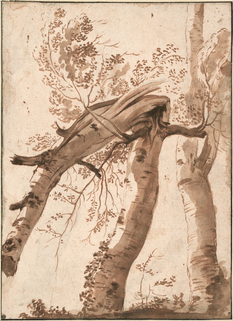 To sølvbjørker, den forreste falt, ca. 1629 av Nicolas Poussin