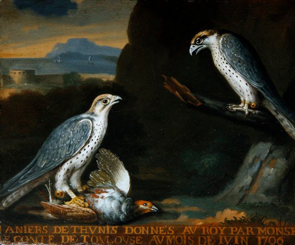 To gyrfalcons, den ene holder en rapphøne (olje på lerret) av Nicolas Spheyman