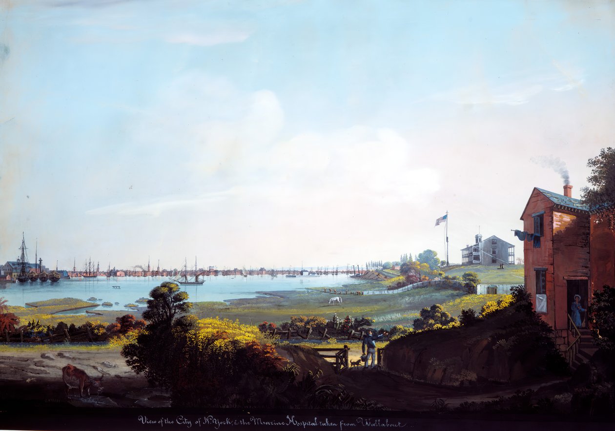 Utsikt over byen New York og Marine Hospital tatt fra Wallabout. av Nicolino Calyo