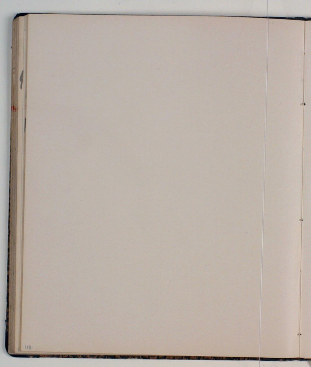 Blank av Niels Larsen Stevns