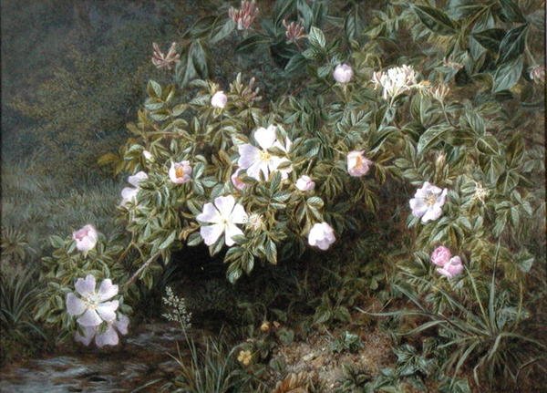 En studie av hunderoser, ca. 1900 (olje på lerret) av Niels Pieter Rasmussen