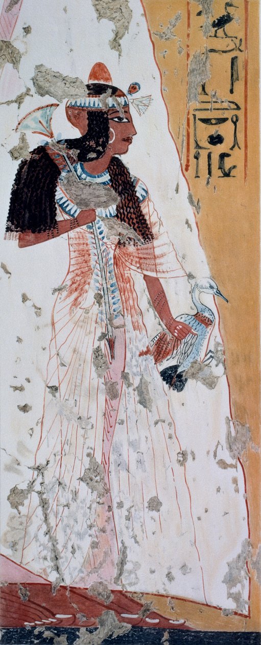  av Nina de Garis Davies