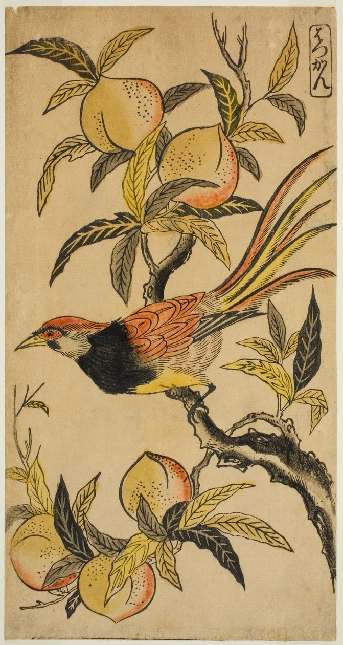 Sølvfasan (Hakkan) av Nishimura Shigenaga