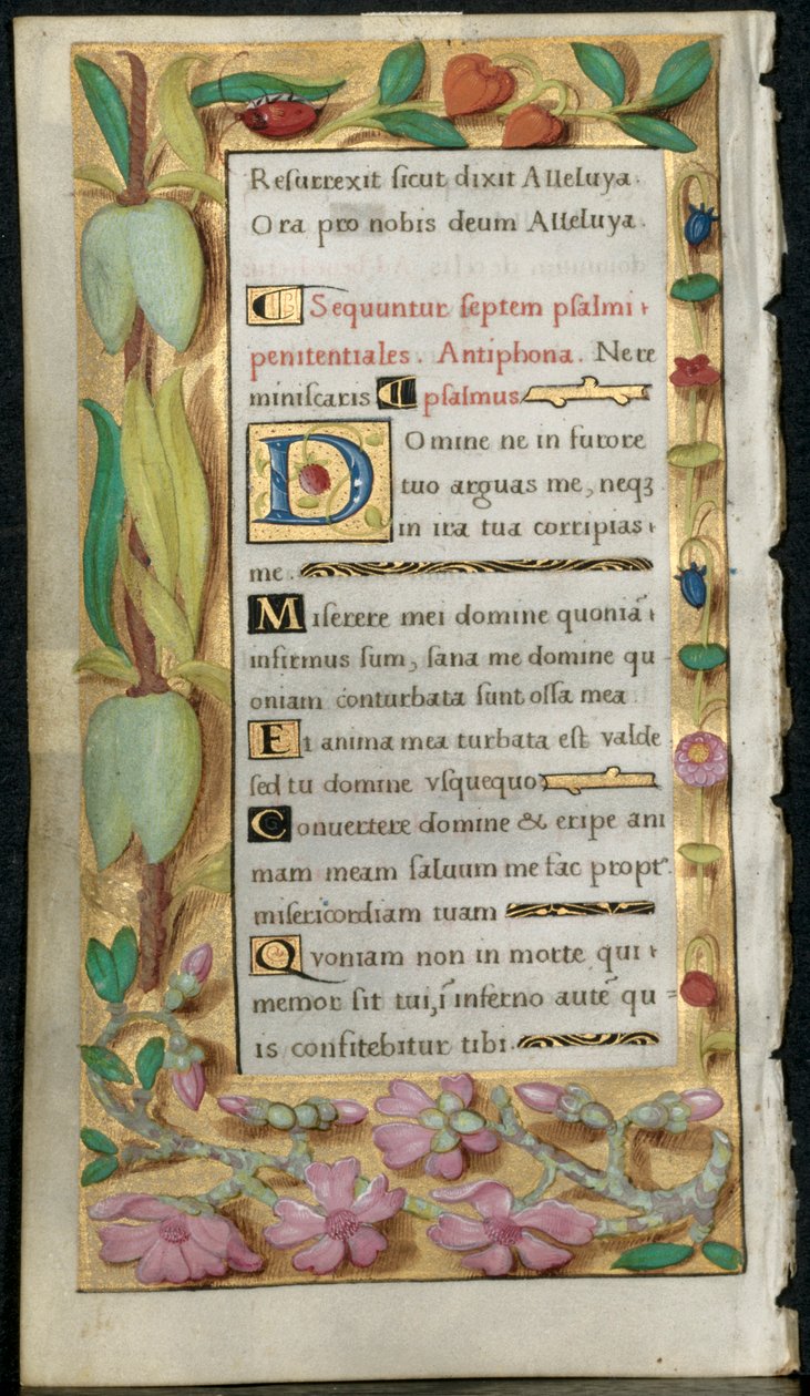 Blad fra en timebok: Penitential Psalms, ca. 1530-1535. av Noel Bellemare