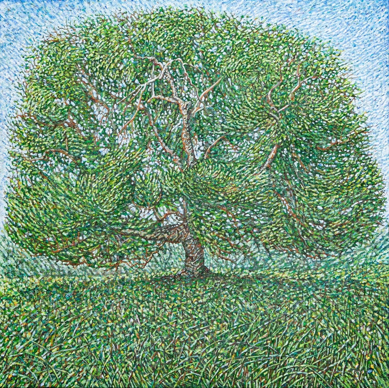  av Noel Paine