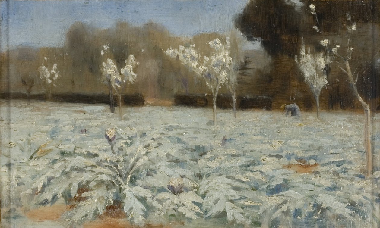 Artisjokker, Hyeres av Norman Garstin