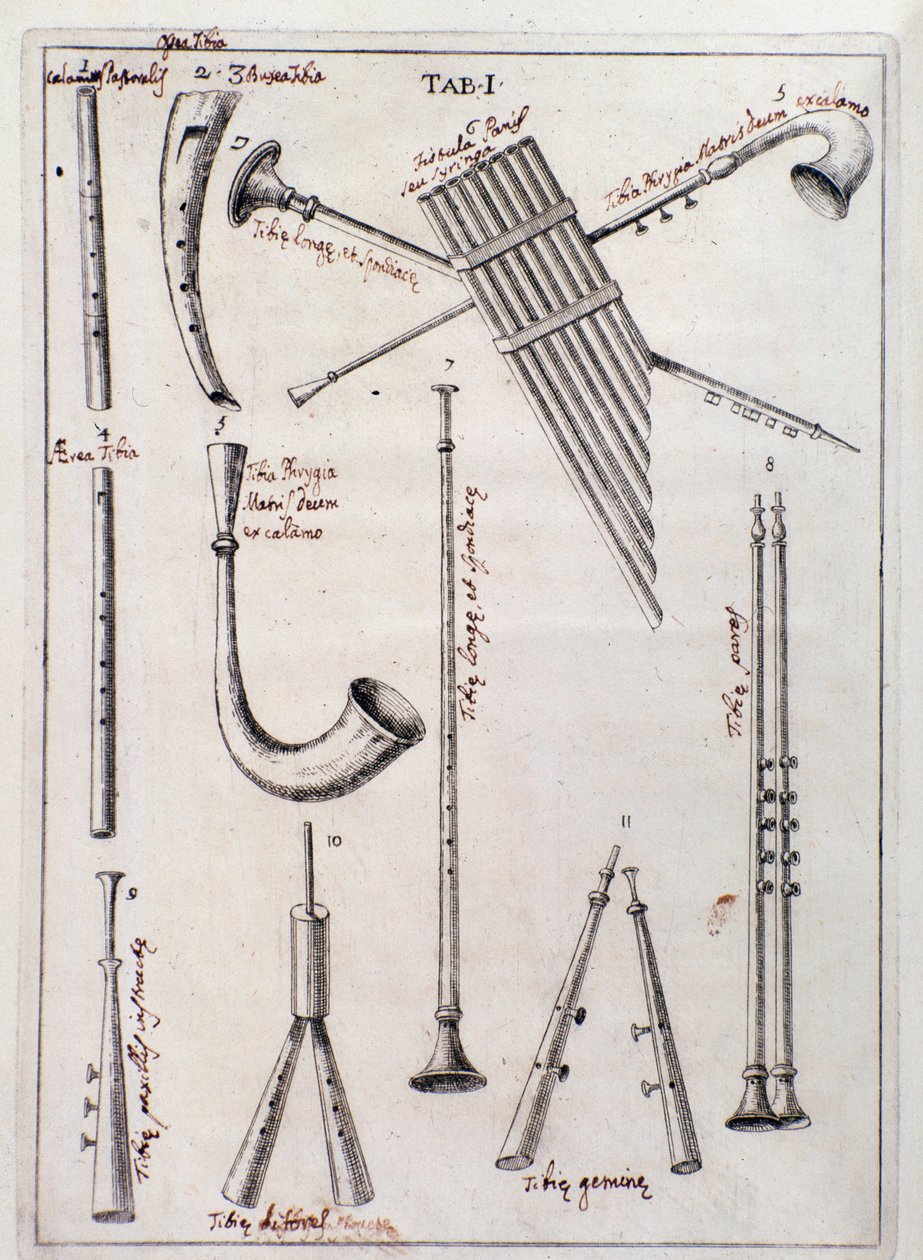 Blåseinstrumenter Side fra "The Three Types of Musical Instruments"-verk om gamle instrumenter av Francesco Bianchini av Northern Italian School