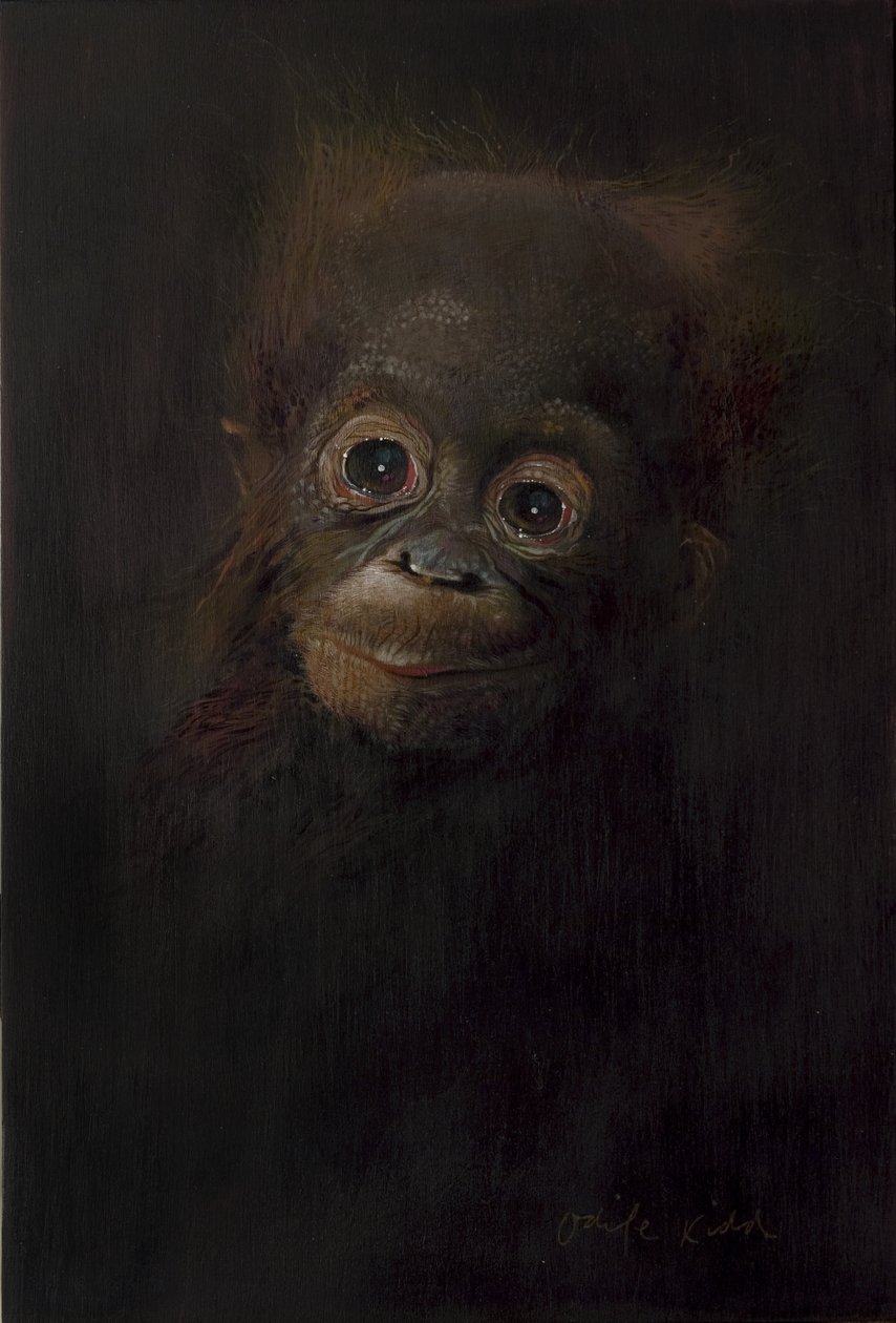  av Odile Kidd