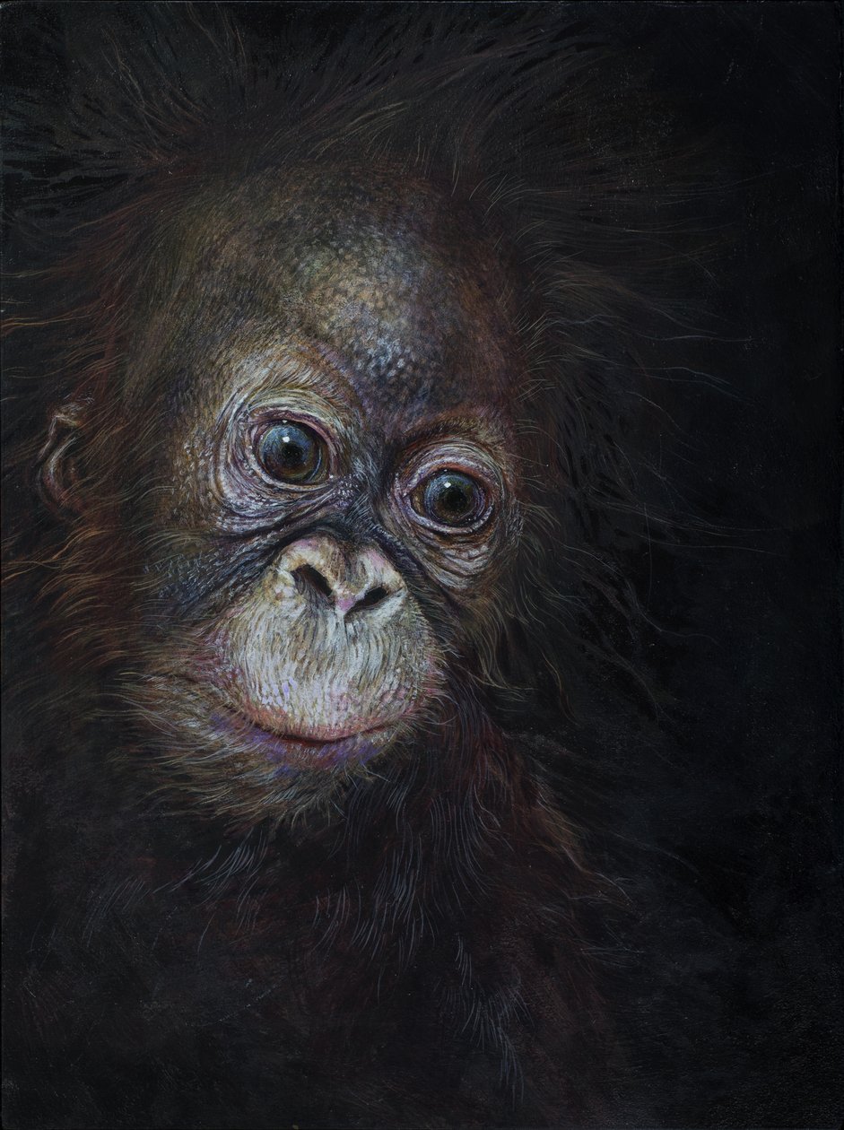  av Odile Kidd