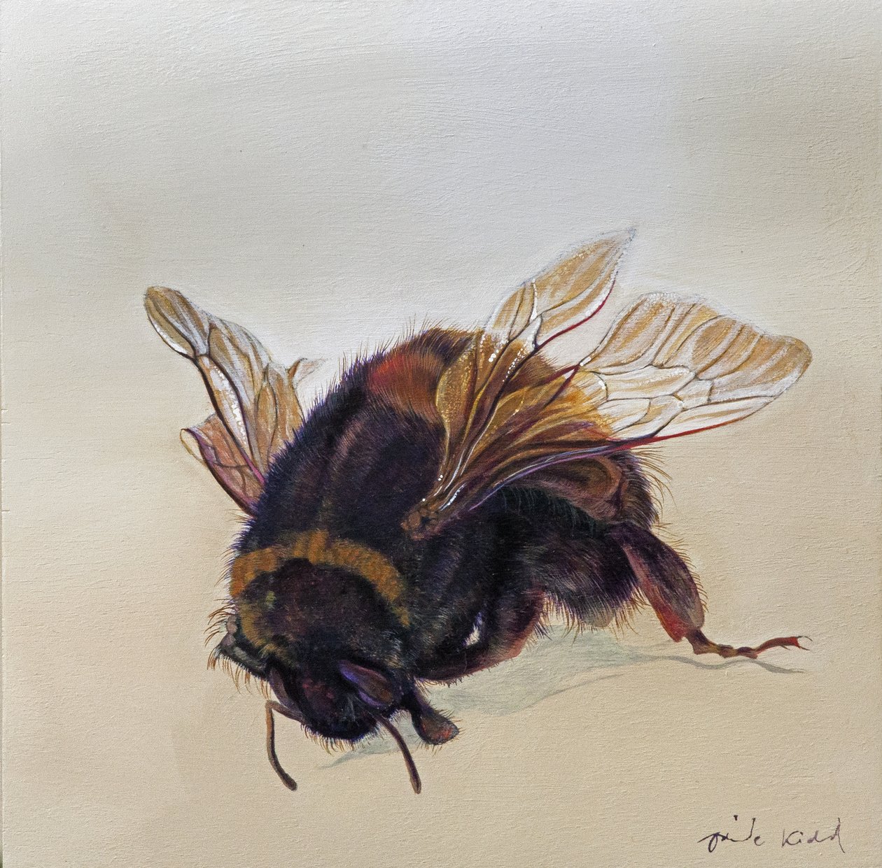  av Odile Kidd