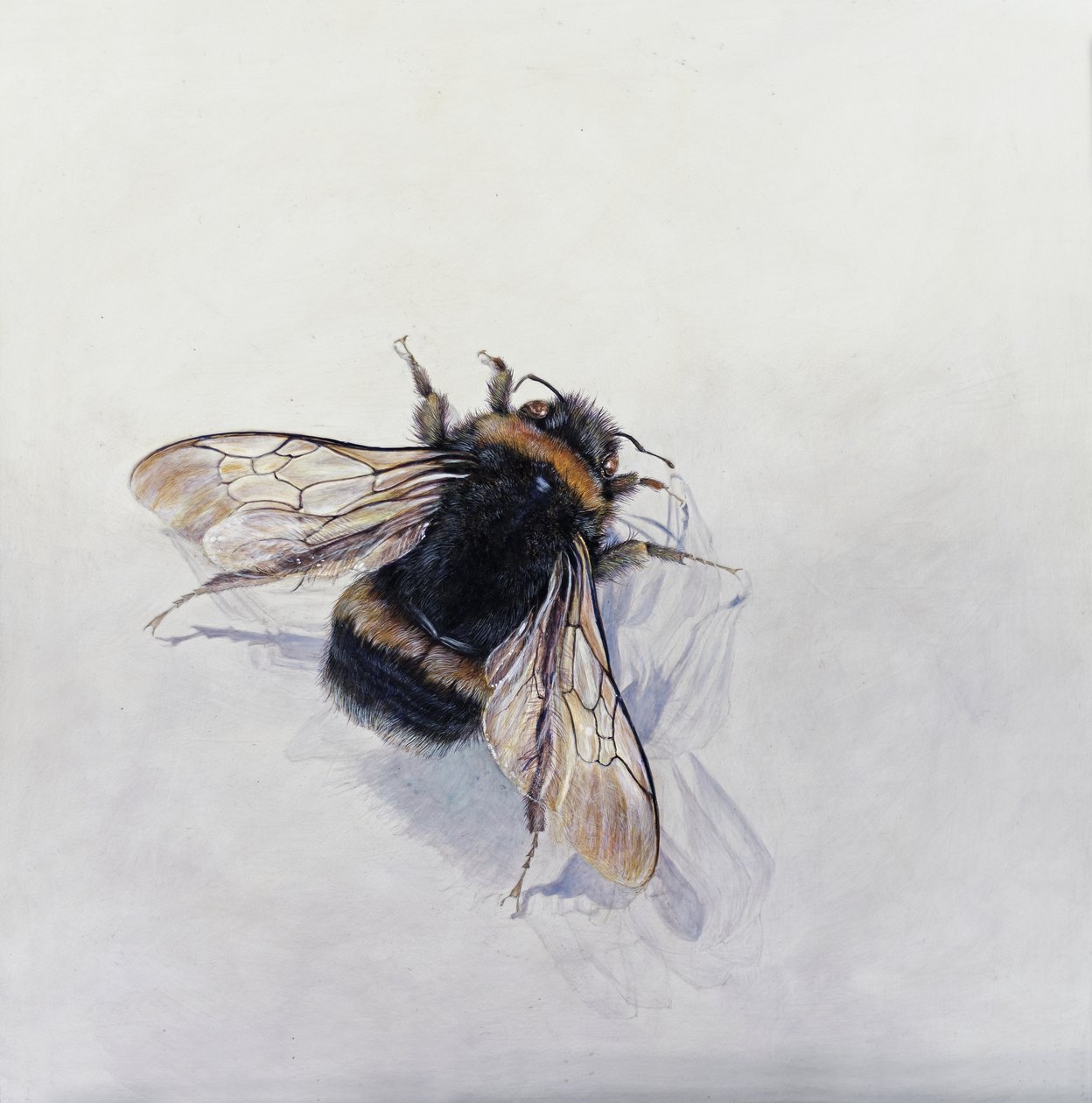  av Odile Kidd