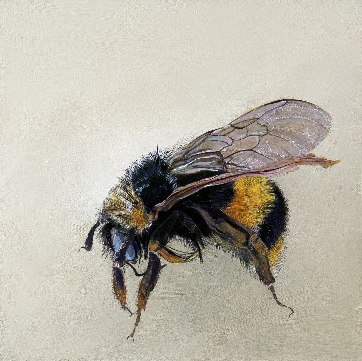  av Odile Kidd