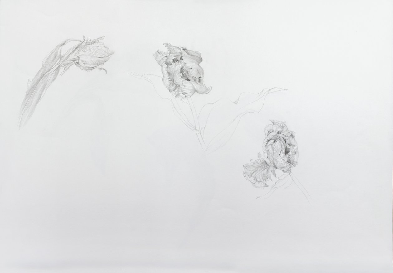  av Odile Kidd